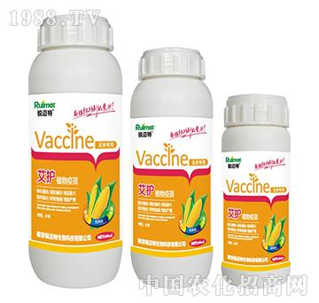 ���oֲ���������׌���-