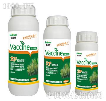 ���oֲ������С������-