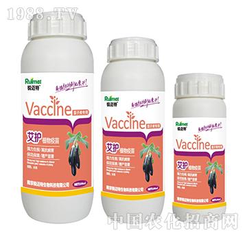 ���oֲ���������ӌ���-