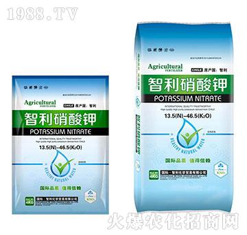 ���������-�������Q(m��o)