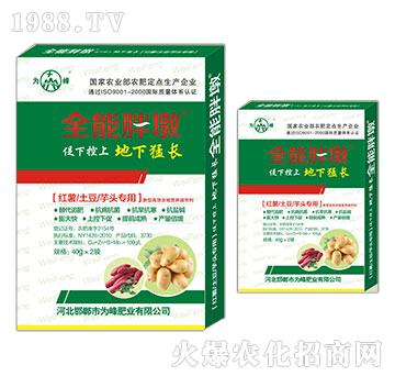 �t�������������^����-