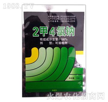 56%2��4���c-�����rˎ