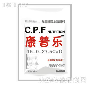 ���՘�����Ԫ��ˮ�ܷ���