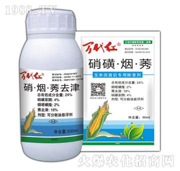 24%���ǡ�����ݬ-�f