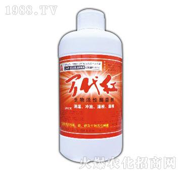 �������ø����-�f���t-�G��