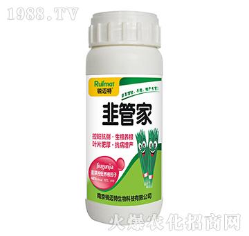 �¹ܼ�-�J�~��