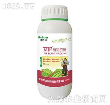 ���oֲ�����磨�V�V�ͣ�-�J�~��