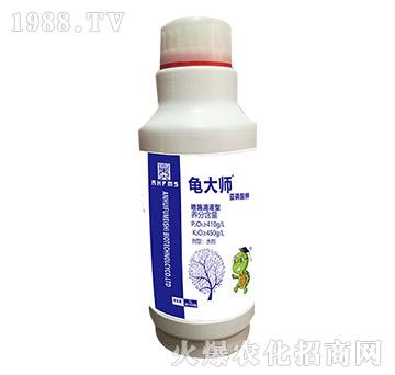 �������-����-������