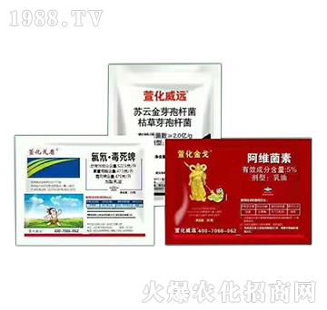 ����ҹ���(l��i)���x(ch��ng)�Ě��焩