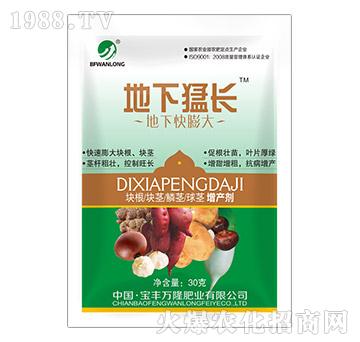 ���¿����-�������L(zh��ng)-