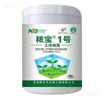 ������������-����1̖-��ؐ��