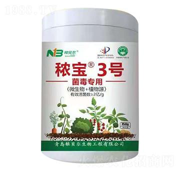 ��������-����3̖-��ؐ��