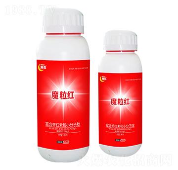 ħ���t-ħ���ʘI(y��)