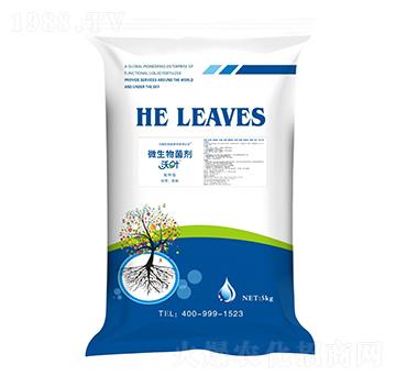 �����΢�������-���~-����ʩ