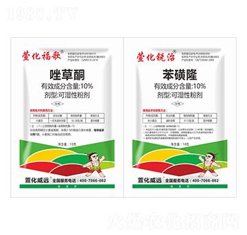 10%���ͪ+10%��