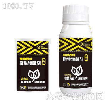 �׷ی���΢�������-ֲ������-������