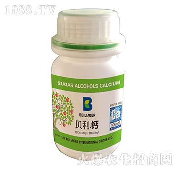 貝利·鈣-海拉維