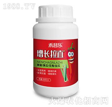 ���L(zh��ng)��ֱ-�̲���(l��)-�пƻ���