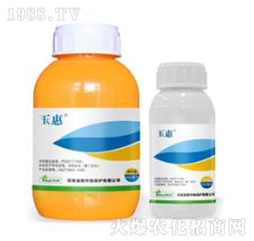 42%�����ݡ�ݬ-���