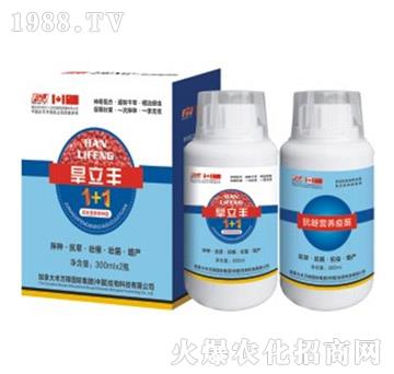 旱立豐花生拌種肥-豐萬稼