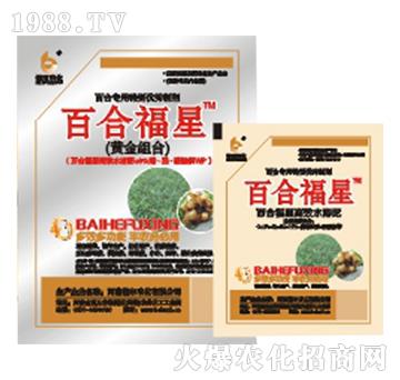 �ٺϸ���-����