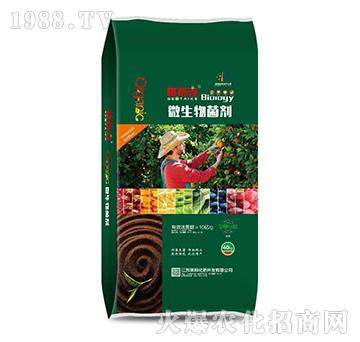 40kg΢�������-��̩��-���r(n��ng)�ʘI(y��)