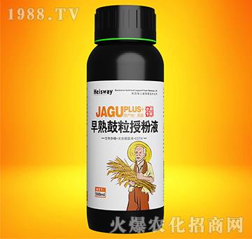 早熟鼓粒授粉液-實(shí)禾