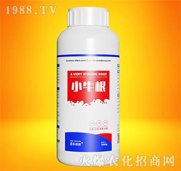 小牛根-實(shí)禾