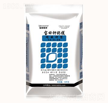 ������}�V-����ʘI(y��)