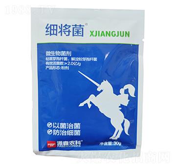 ΢�������-��(x��)����-��ɭ�r(n��ng)��