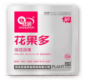 ��������-������-����