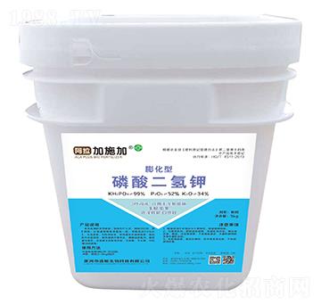 ������������-������ʩ��-ʢ�Z����