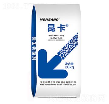 ΢�������-����-�Ȏ�