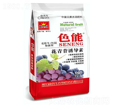 �������T��(d��o)��-ɫ��-������