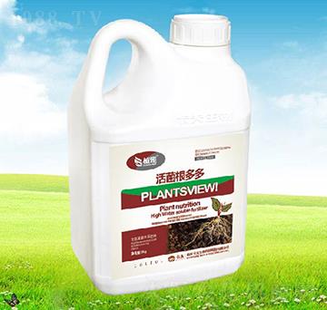 活菌根多多-卡夫生