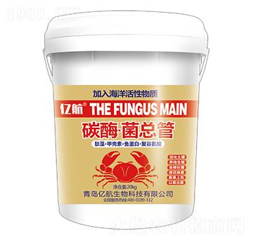 ̼ø��������-�|��