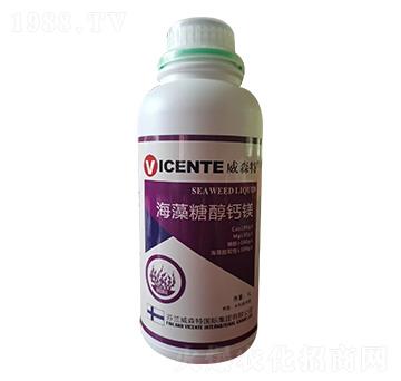 �����Ǵ��}�V-��ؐ��