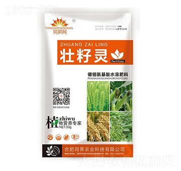 ���f������ˮ�ܷ�-����