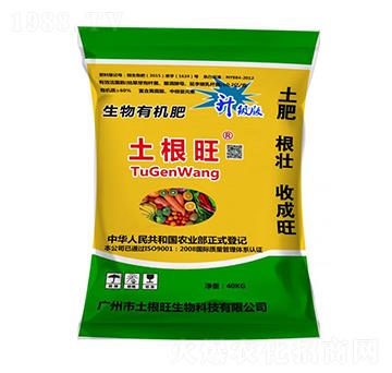 �����ЙC�ʣ������棩-������