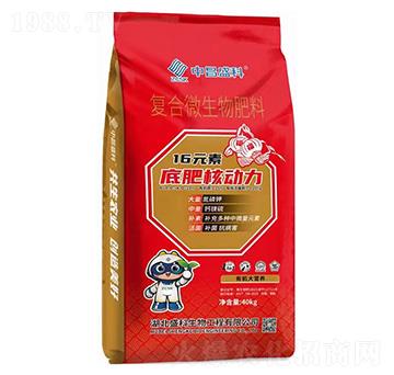 �ͺ�΢�������-�в�ʢ��-ʢ������