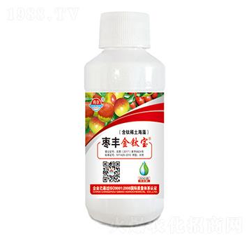 200�˗��S��⁌�-���r(n��ng)�挚