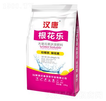 大量元素水溶肥料10-30-10+2MgO+TE-根花樂(lè)-漢唐農(nóng)業(yè)