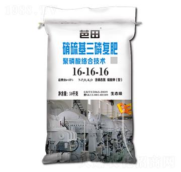 ��������׏ͷ�16-1