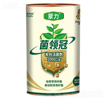 �������I��-�͝��r(n��ng)�I(y��)