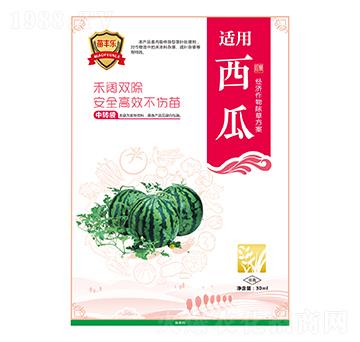 ���Ͻ�(j��ng)��(j��)������ݷ���-���S��(l��)-�瘷(l��)���r(n��ng)�I(y��)