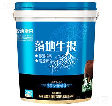 膠源蛋白肥料-落地生根-金太陽