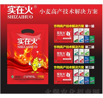 小麥高產(chǎn)技術(shù)解決方案-實在火-紅太陽