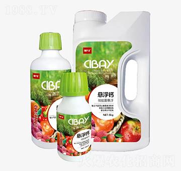 ΢�z�ґҸ��}-�̶�����