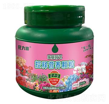 �����ͼ�ͥ�@ˇ��ጠI�B(y��ng)�w��-����-�G�ַʘI(y��)