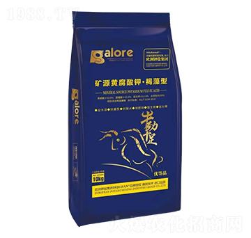 �VԴ�S����⛡�������-����}���H